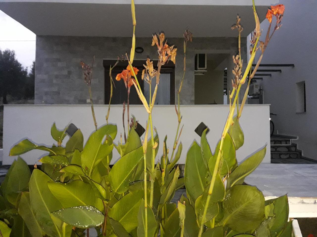 Villa Oliva Astris Esterno foto
